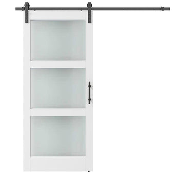 Glass Barn Doors