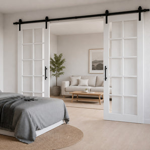 White French Glass Barn Door
